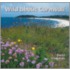 Wild About Cornwall