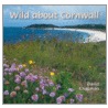 Wild About Cornwall door David Chapman