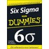 Six Sigma voor Dummies