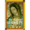 Wonder of Guadalupe door Francis Johnston