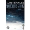 Während des Sturms door Scott Spencer