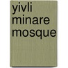 Yivli Minare Mosque door Miriam T. Timpledon