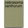 Zebrasoma Xanthurum door Miriam T. Timpledon