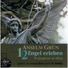 12 Engel Erleben. Cd door Amselm Grün