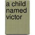 A Child Named Victor