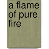 A Flame Of Pure Fire door Roger Kahn