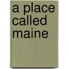 A Place Called Maine by Wesley McNair