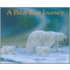 A Polar Bear Journey