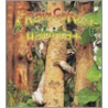 A Rainforest Habitat door Molly Aloian