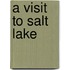 A Visit To Salt Lake