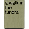 A Walk in the Tundra door Rebecca L. Johnson
