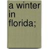 A Winter In Florida; door Ledyard Bill