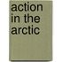 Action In The Arctic