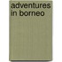 Adventures In Borneo