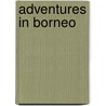 Adventures In Borneo door Mrs Gore