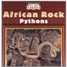 African Rock Pythons by Valerie J. Weber