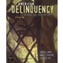 American Delinquency