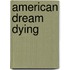 American Dream Dying