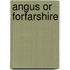 Angus Or Forfarshire