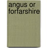 Angus Or Forfarshire by Alex Johnston Warden