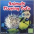 Animals Staying Safe