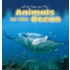 Animals of the Ocean