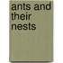 Ants And Their Nests