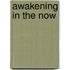 Awakening In The Now