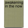 Awakening In The Now door Eckhart Tolle