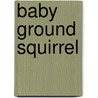 Baby Ground Squirrel door Aubrey Lang