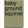 Baby Ground Squirrel by Aubrey Lang