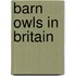 Barn Owls In Britain