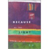 Because of the Light door Roseann Lloyd