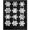 Bentley's Snowflakes door W.A. Bentley