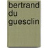 Bertrand Du Guesclin