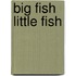 Big Fish Little Fish