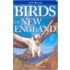 Birds of New England