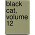 Black Cat, Volume 12