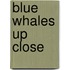 Blue Whales Up Close