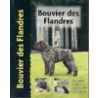 Bouvier Des Flandres door Robert Pollett