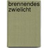Brennendes Zwielicht