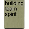 Building Team Spirit by Barry Heermann