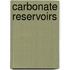 Carbonate Reservoirs