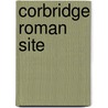 Corbridge Roman Site by John Dore