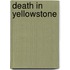 Death in Yellowstone