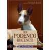 Der Podenco Ibicenco by Susanne Blank