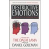 Destructive Emotions by Daniel P. Goleman