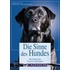 Die Sinne des Hundes