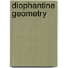 Diophantine Geometry door Marc Hindry