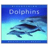 Discovering Dolphins by Stephanie Nowacek
